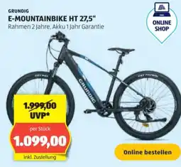 Hofer Grundig E-Mountainbike HT Angebot