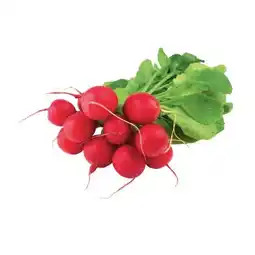 SPAR Gourmet Radieschen SPAR Gourmet Angebot