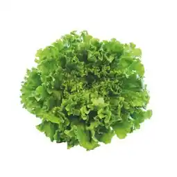 SPAR Gourmet Bio-Gentilina SPAR Gourmet Angebot