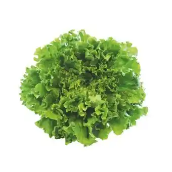 SPAR Gourmet Bio-Gentilina SPAR Gourmet Angebot