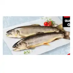 Interspar Bio-Bachsaibling INTERSPAR Angebot