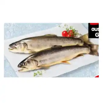 Interspar Bio-Bachsaibling INTERSPAR Angebot