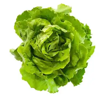 MPreis Kopfsalat MPREIS Angebot