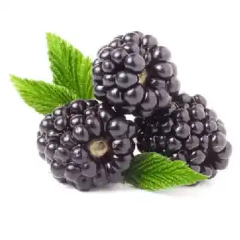 MPreis Brombeeren MPREIS Angebot