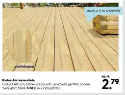 Hellweg Kiefer-terrassenbrett Angebot