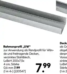 Hellweg Rahmenprofil Angebot