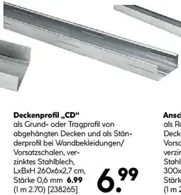Hellweg Deckenprofil cd Angebot