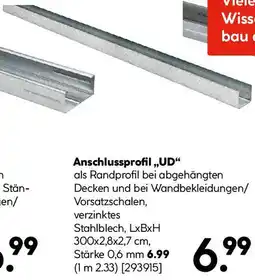 Hellweg Anschlussprofil UD Angebot