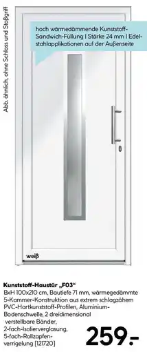 Hellweg Kunststoff-Haustür Angebot