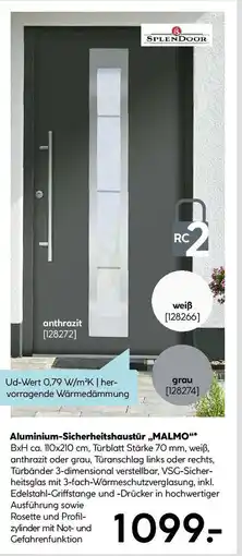 Hellweg Aluminium-sicherheitshaustür malmo Angebot