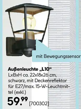Hellweg Außenleuchte Angebot