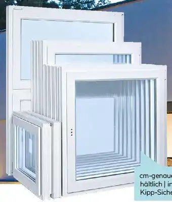 Hellweg Wärmeschutzfenster Angebot