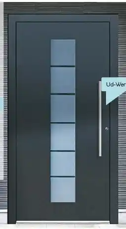 Hellweg Aluminium-Sicherheitshaustür Angebot