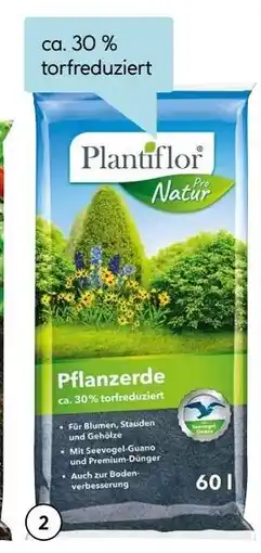 Hellweg Pflanzerde Angebot
