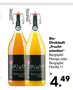 Hellweg Bergapfel Mango „Fruchtselection“ Angebot