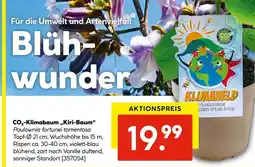 Hellweg CO₂-Klimabaum „Kiri-Baum“ Angebot