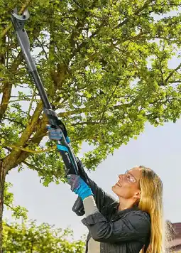 Hellweg Akku-Astschere Angebot