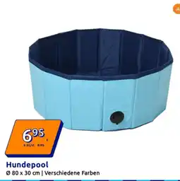 Action Hundepool Angebot