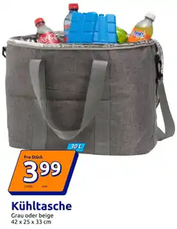 Action Kühltasche Angebot