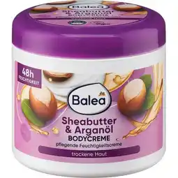 dm Bodycreme Sheabutter & Arganöl dm Angebot