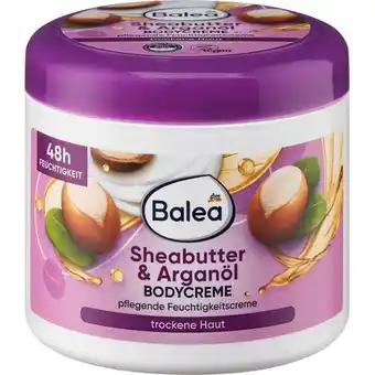 dm Bodycreme Sheabutter & Arganöl dm Angebot