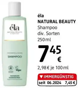 dm Shampoo Angebot