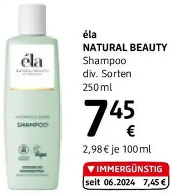 dm Shampoo Angebot