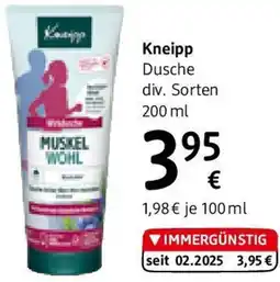 dm Dusche Angebot