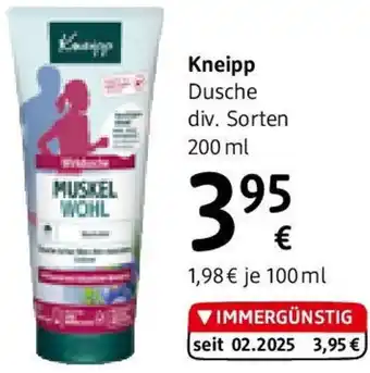 dm Dusche Angebot