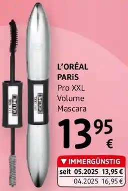 dm Mascara Angebot