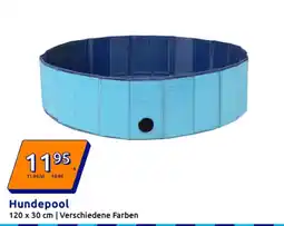 Action Hundepool Angebot