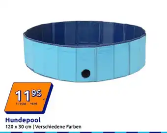 Action Hundepool Angebot