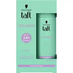 dm taft Volumen Puder dm Angebot