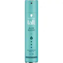 dm taft Haarspray div. Sorten dm Angebot