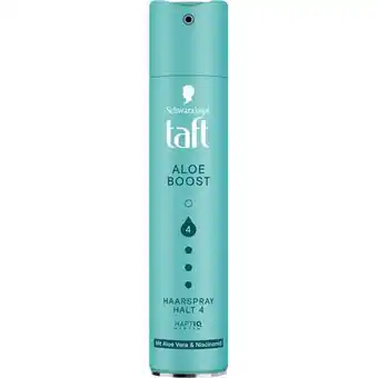 dm taft Haarspray div. Sorten dm Angebot