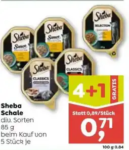 ADEG Sheba Schale Angebot