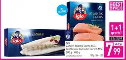 Sutterlüty Atlantik lachs Angebot