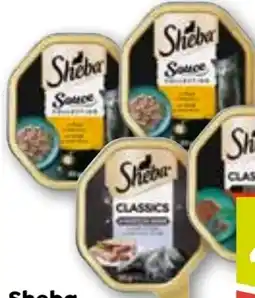 ADEG Sheba Schalen Angebot