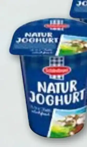 ADEG Schärdinger Naturjoghurt Angebot