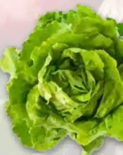 T&G Kopfsalat Angebot