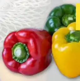 T&G Paprika Tricolore Angebot
