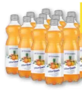 T&G Silberquelle 10 Vitamine Angebot