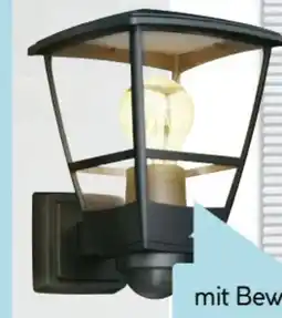 Hellweg Steinel LED-Außenleuchte Angebot