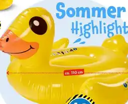 TEDi Ride-On Luftmatratze Badeente Angebot