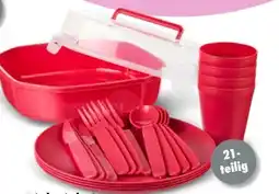 TEDi Picknick-Set Angebot