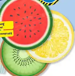 TEDi Tier-Kühlmatte Angebot