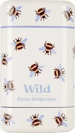 dm Wild Deostick Honig und Kaktusblüte Angebot