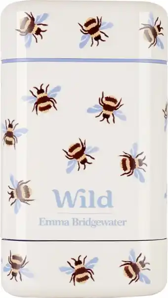 dm Wild Deostick Honig und Kaktusblüte Angebot