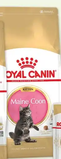 Fressnapf Royal Canin Katzennahrung Kitten Maine Coon Angebot