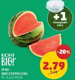 PENNY Mini- wassermelone Angebot